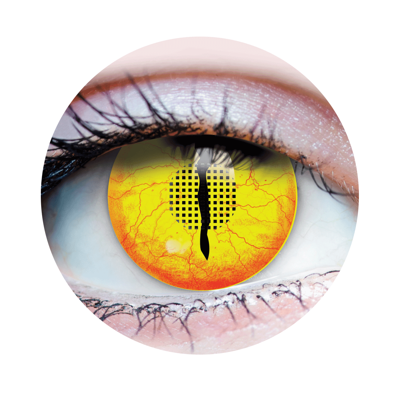 Jurassic 1 Theatrical Contact Lenses